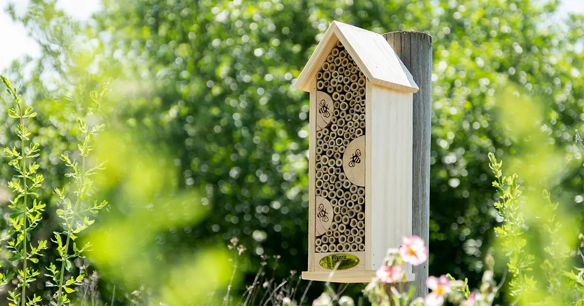 Unifying Data Across 15 Shops: CJ Wildlife’s Journey to Smarter Reporting 